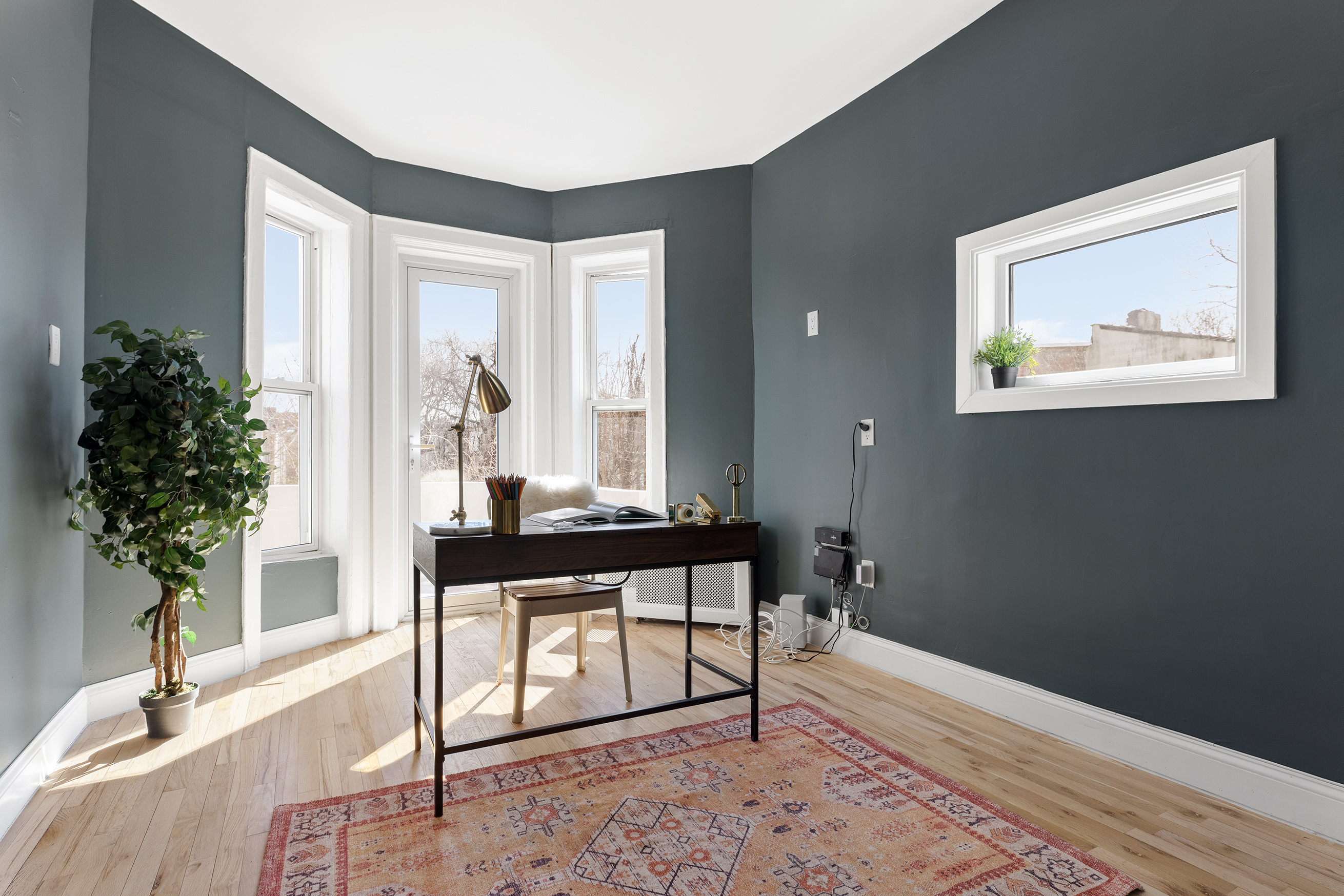 259 New York Avenue Brooklyn, NY 11216 - Photo 20 of 25 a living room with furniture and a potted plant