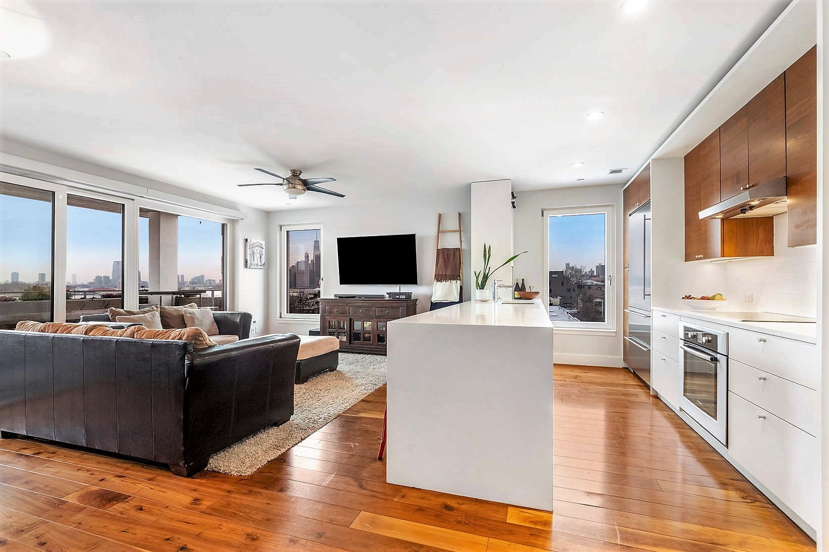 255 Columbia Street, Unit 6N Brooklyn, NY 11231 - Photo 5 of 11 Gallery Image 5