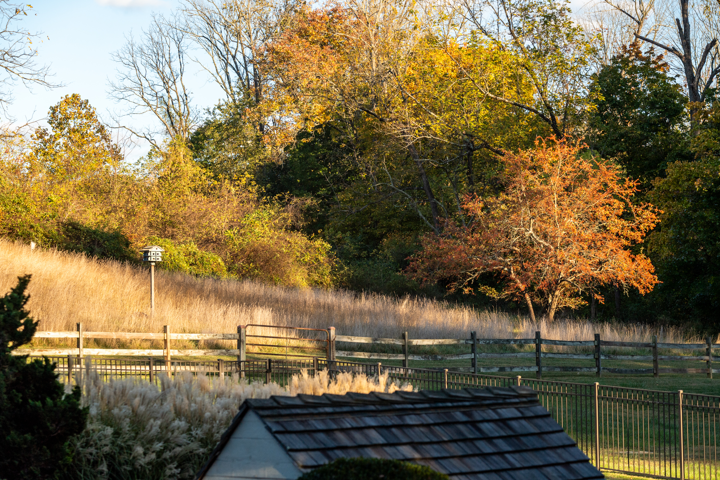 791 Grubbs Mill Road Berwyn, PA 19312 - Photo 74 of 76 a view of a lake with a big yard and large trees