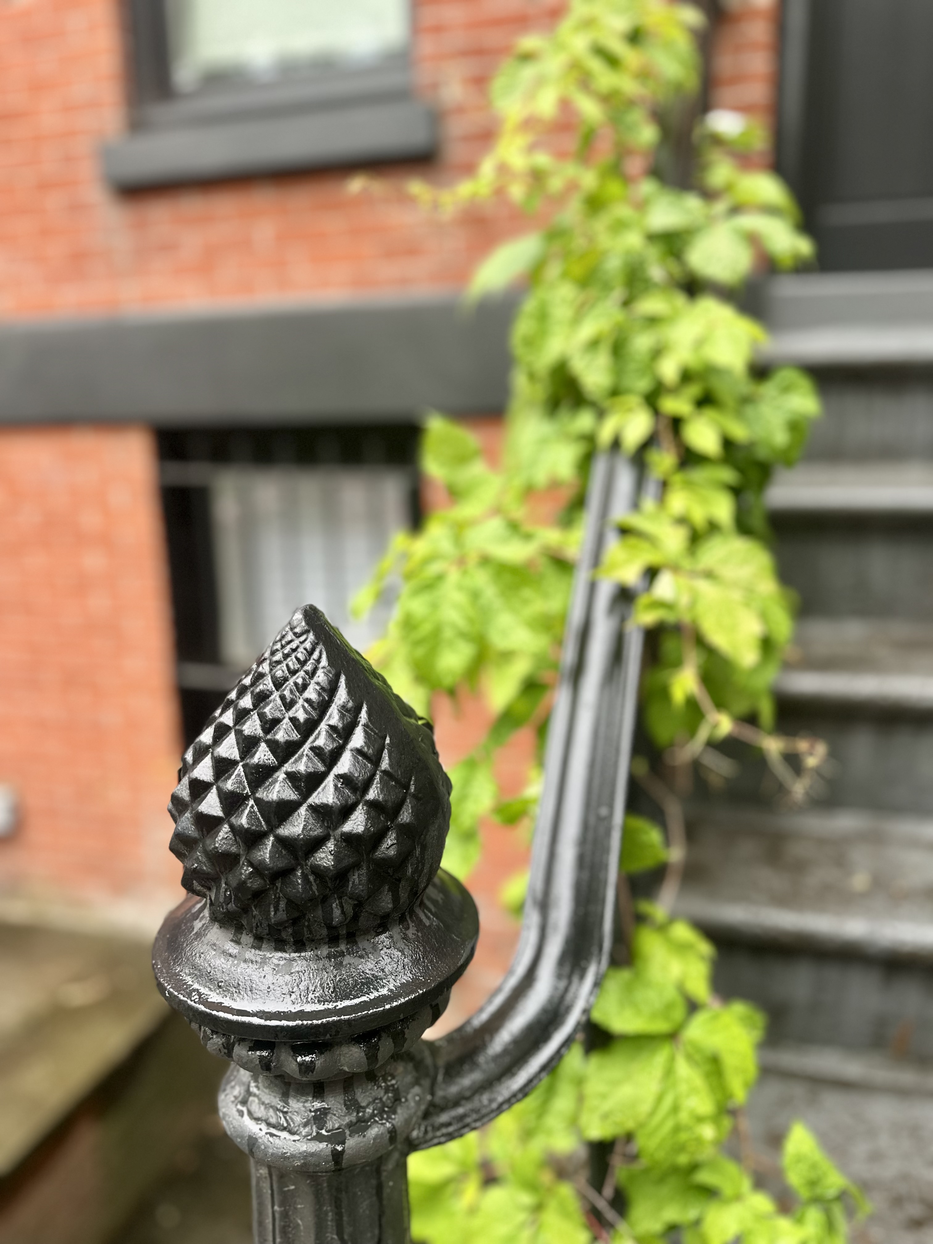 446 Sackett Street Brooklyn, NY 11231 - Photo 15 of 15 a vase of flowers sitting on a chandelier