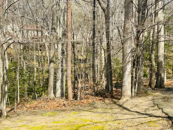 $635,000 | 7265 Kousa Lane, Springfield, VA 22152