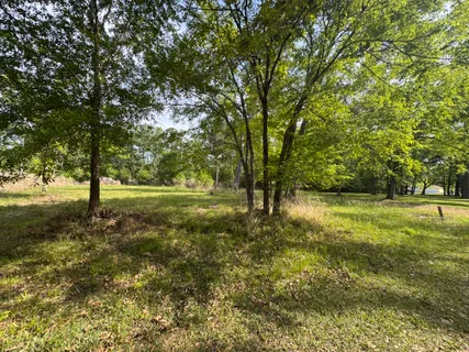 $15,000 | Lake Forest Drive, Livingston, TX 77351