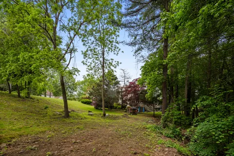 a view of a tree in a yard