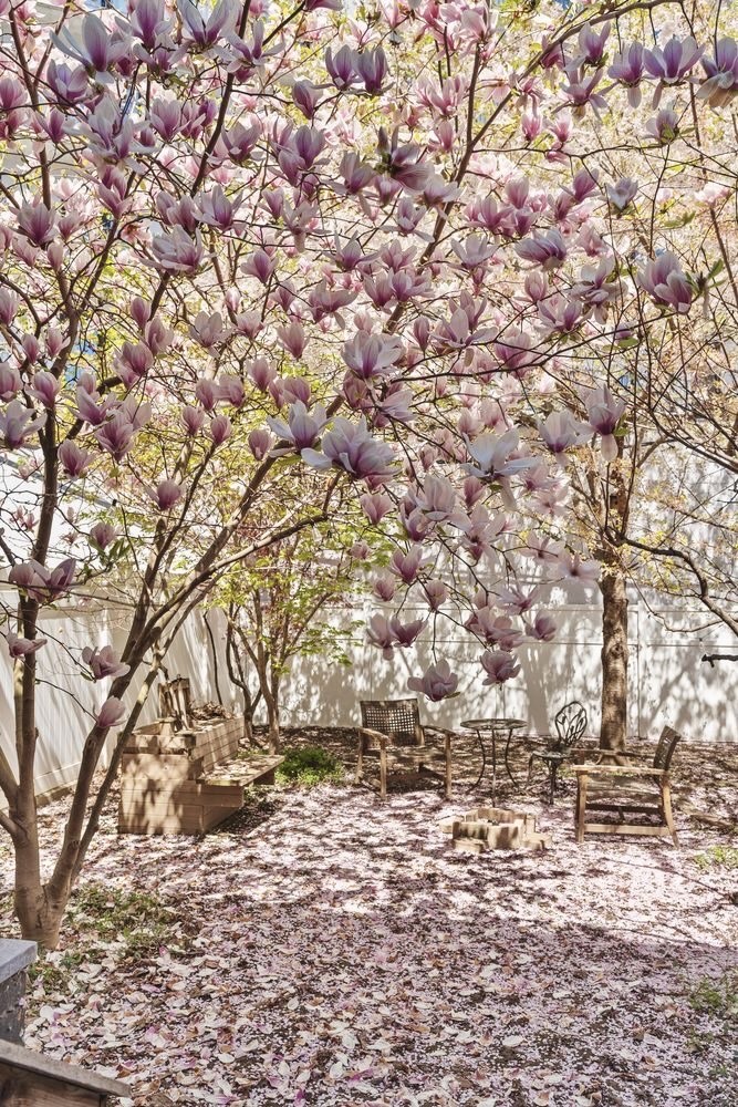 65 Jackson Street Brooklyn, NY 11211 - Photo 11 of 36