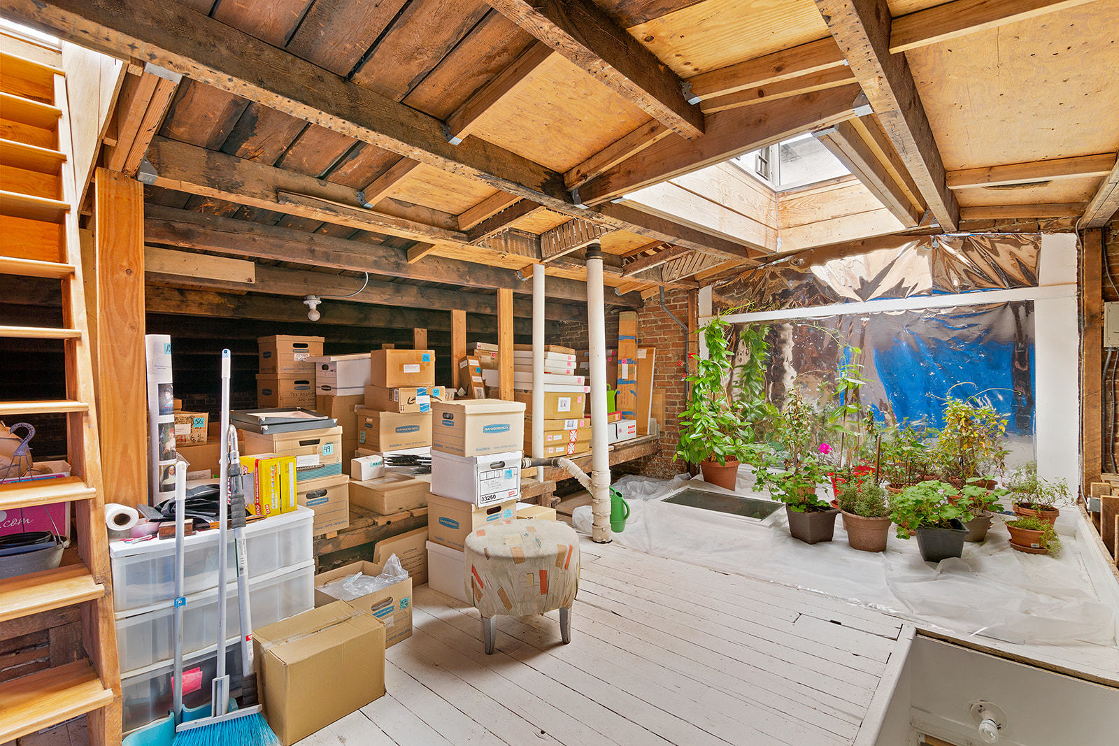 342 Grand Avenue Brooklyn, NY 11238 - Photo 16 of 22