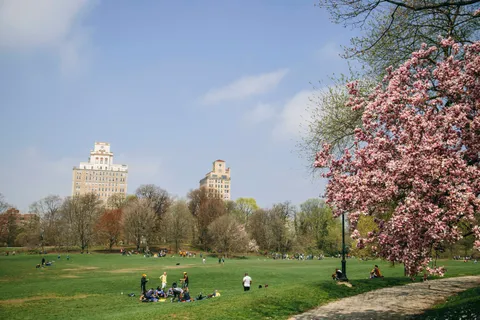 a view of a green field