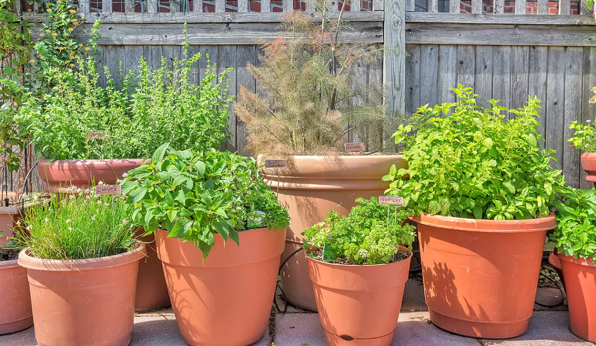14 Horatio Street, Unit 11F Manhattan, NY 10014 - Photo 14 of 16 a view of a chair and table in the backyard
