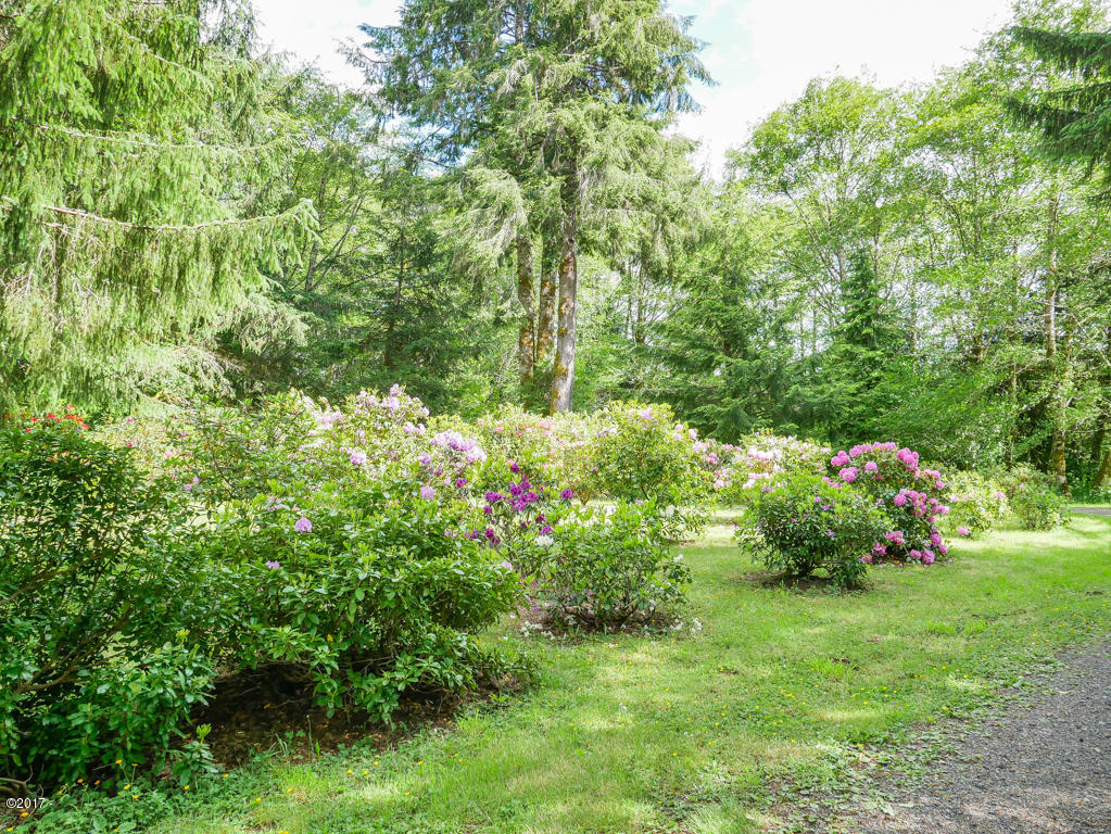 847 Hamer Road Siletz, OR 97380 - Photo 66 of 79 Rhodie patch