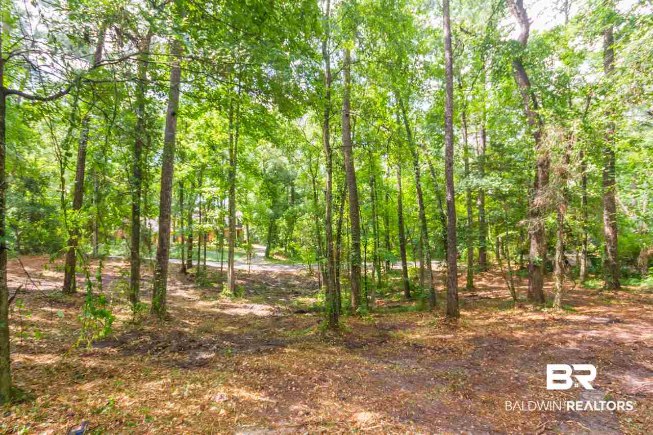2 Military Bridge Drive Daphne, AL 36527 - Photo 5 of 12