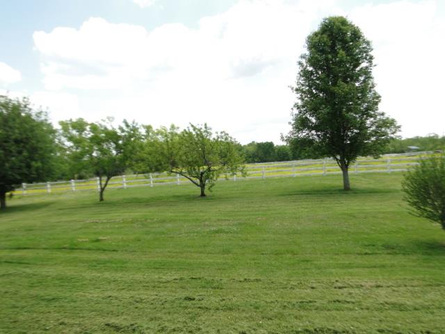 256 Edd Joyce Road Bell Buckle, TN 37020 - Photo 17 of 20 Large back yard with small orchard, pear, apple, peach, grapes, & black berries.