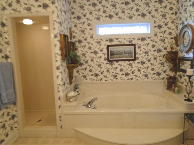 256 Edd Joyce Road Bell Buckle, TN 37020 - Photo 10 of 20 Separate shower & soaking tub in master bath.