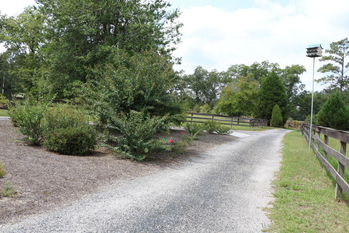 688 State Rd S-15-93 Smoaks, SC 29481 - Photo 54 of 91 IMG_7674