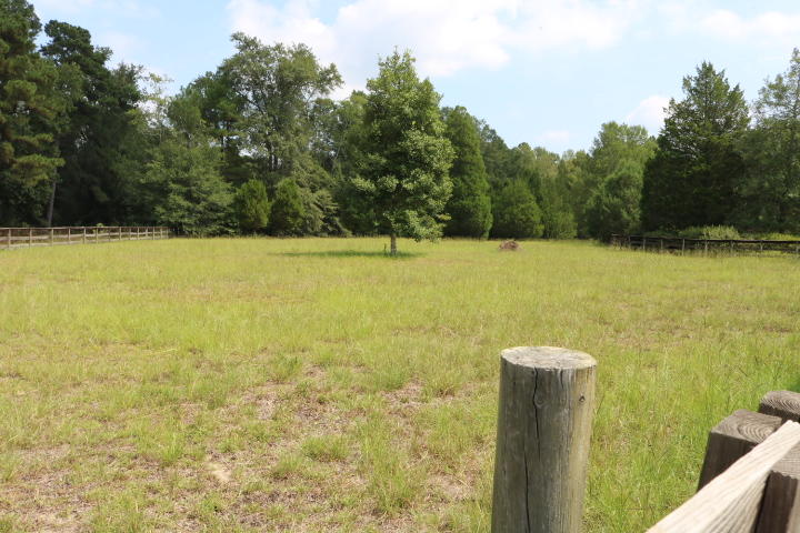 688 State Rd S-15-93 Smoaks, SC 29481 - Photo 56 of 91 IMG_7676