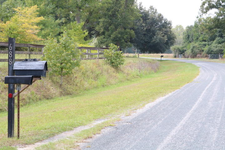 688 State Rd S-15-93 Smoaks, SC 29481 - Photo 59 of 91 IMG_7679