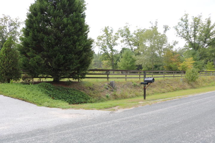 688 State Rd S-15-93 Smoaks, SC 29481 - Photo 61 of 91 IMG_7681
