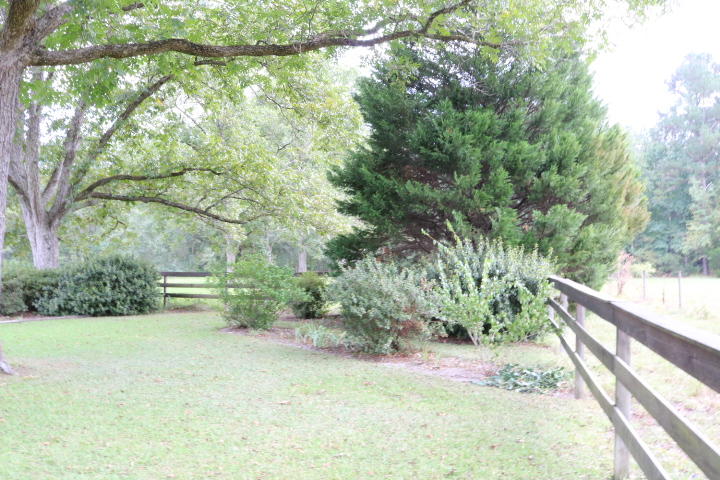 688 State Rd S-15-93 Smoaks, SC 29481 - Photo 77 of 91 IMG_7697