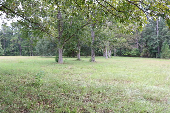 688 State Rd S-15-93 Smoaks, SC 29481 - Photo 79 of 91 IMG_7699