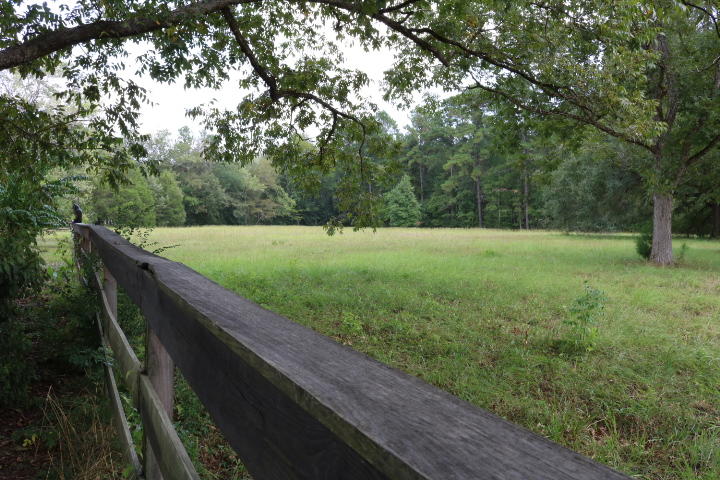 688 State Rd S-15-93 Smoaks, SC 29481 - Photo 80 of 91 IMG_7700