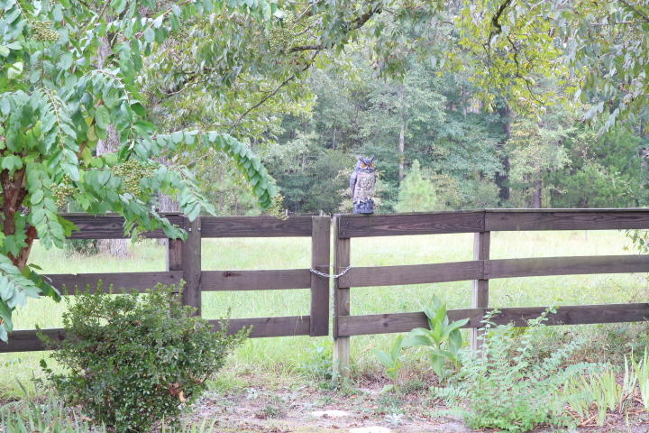 688 State Rd S-15-93 Smoaks, SC 29481 - Photo 83 of 91 IMG_7703