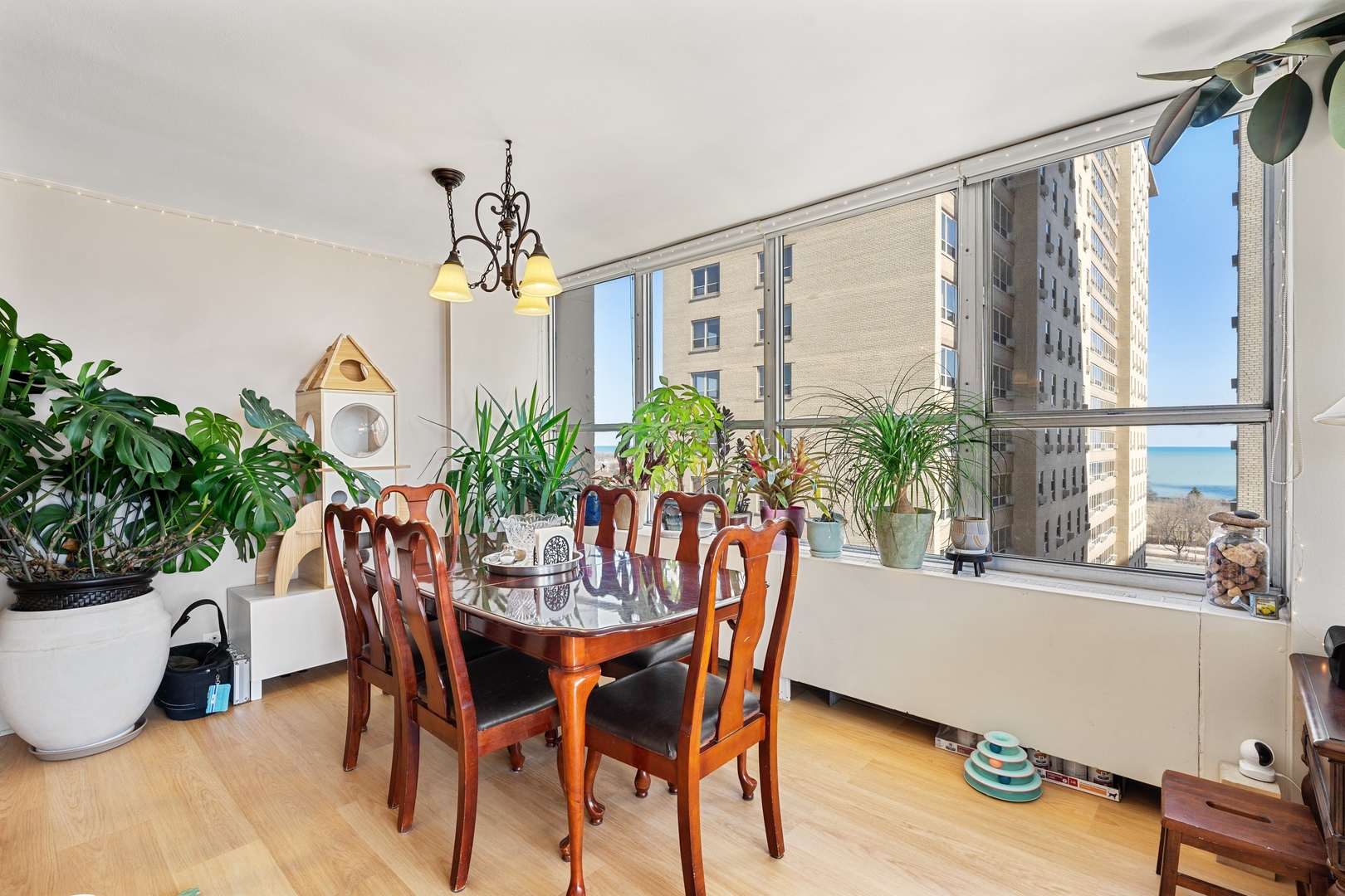 655 West Irving Park Road, Unit 1101 Chicago, IL 60613 - Photo 7 of 24 a dining room with furniture potted plants and wooden floor