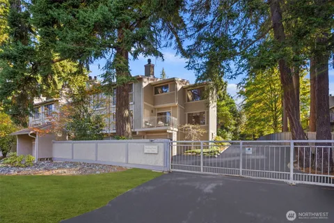a view of a house with a yard and large tree