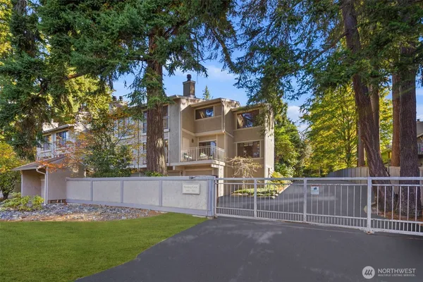 a view of a house with a yard and large tree