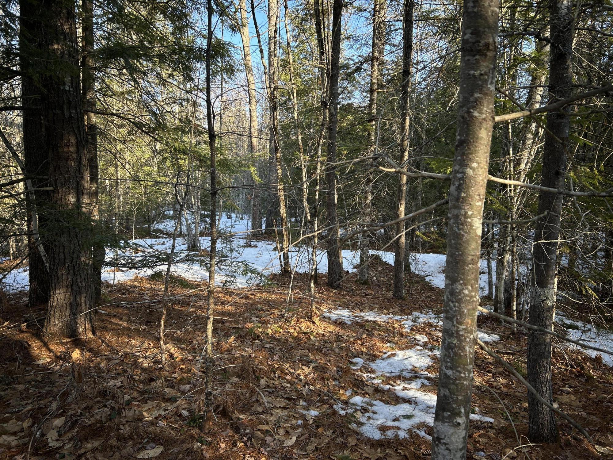 Map13-lot11 Field View Road Fryeburg, ME 04037 - Photo 15 of 37