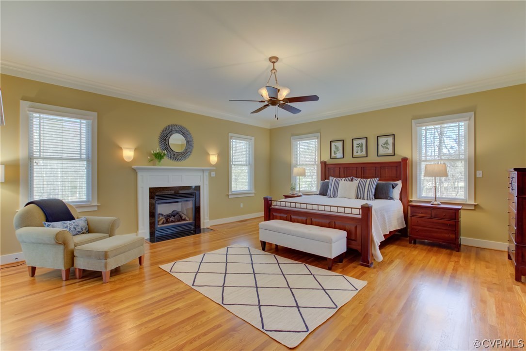 700 Meadow View Ridge Manakin-Sabot, VA 23103 - Photo 19 of 46 Master Bedroom has hardwood Floors and Gas Firepla