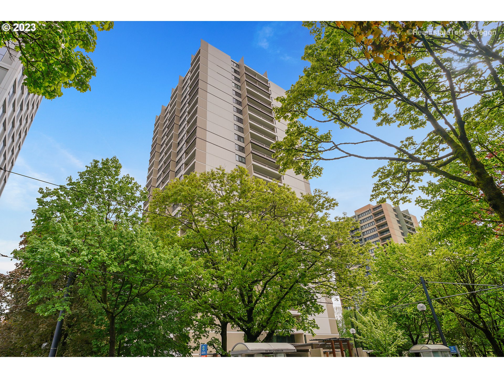 255 Southwest Harrison Street, Unit 3A Portland, OR 97201 - Photo 1 of 19 a view of a tree with a plant