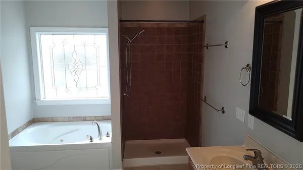a bathroom with a bathtub and a shower