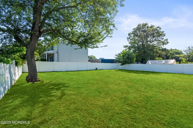 a view of yard with grass and a large tree