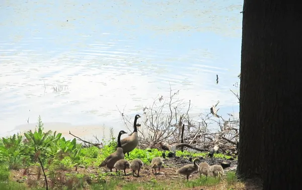 $400,000 | 40-ac County Rd FF, Hancock, WI 54943