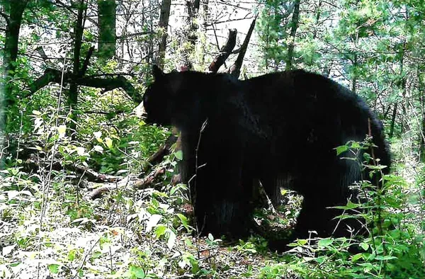 $400,000 | 40-ac County Rd FF, Hancock, WI 54943