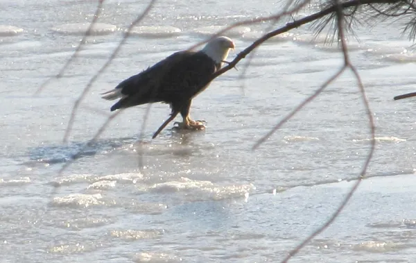 $400,000 | 40-ac County Rd FF, Hancock, WI 54943