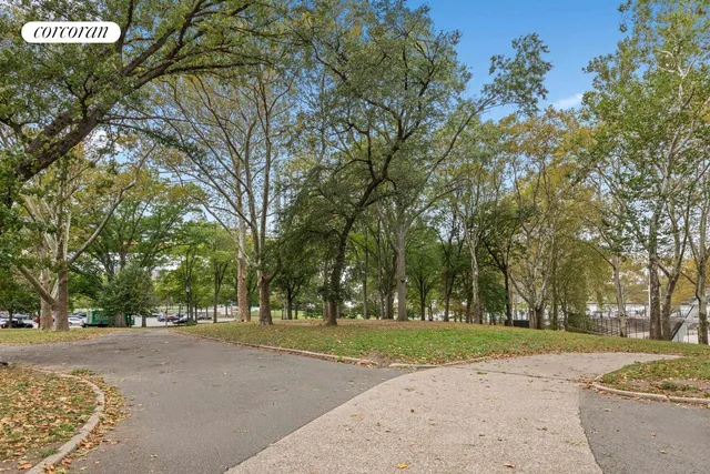 a view of a park with large trees
