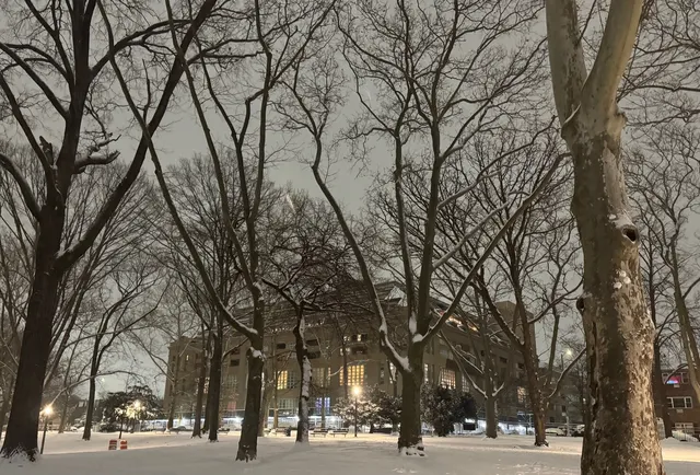 a view of road with with large trees