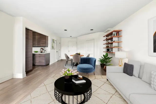 a living room with furniture and a potted plant