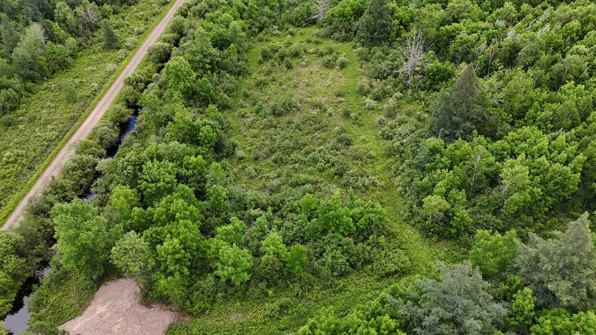 11840 Rice Haven Road Floodwood, MN 55736 - Photo 10 of 27