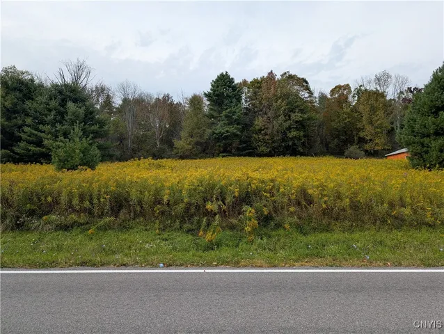 $40,000 | 0 Gorton Road, Hamilton, NY 13346
