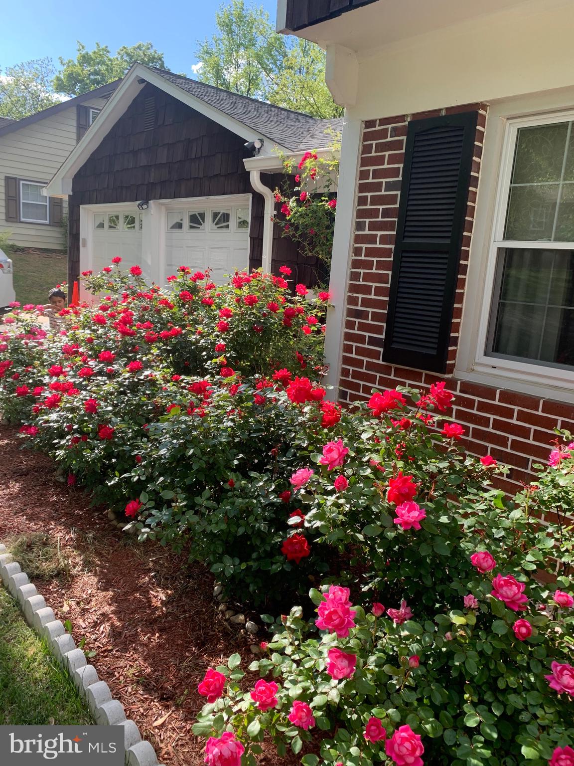 8908 Eastbourne Lane Laurel, MD 20708 - Photo 24 of 26 a picture of flowers