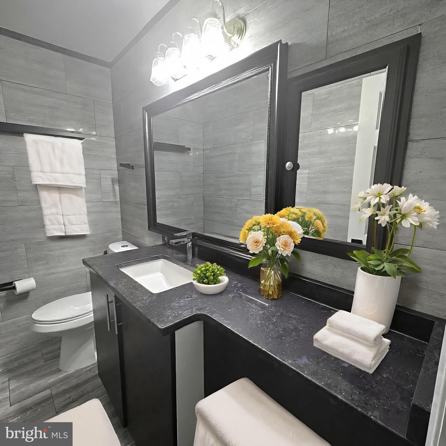 8908 Eastbourne Lane Laurel, MD 20708 - Photo 5 of 26 a bathroom with a sink a toilet and mirror