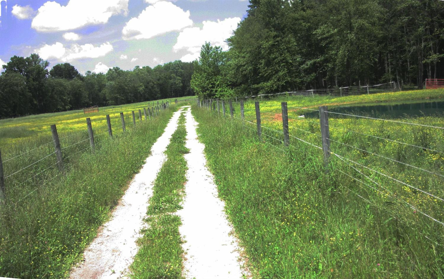 1179 Adams Ridge Road Clay City, KY 40312 - Photo 75 of 96 Photo 75