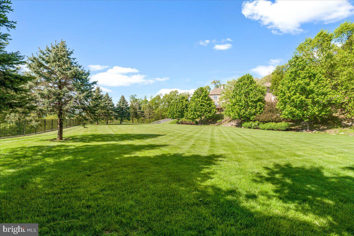 12565 Stone Crest Circle Waynesboro, PA 17268 - Photo 114 of 145 Beautiful, flat "pitch" ready for games