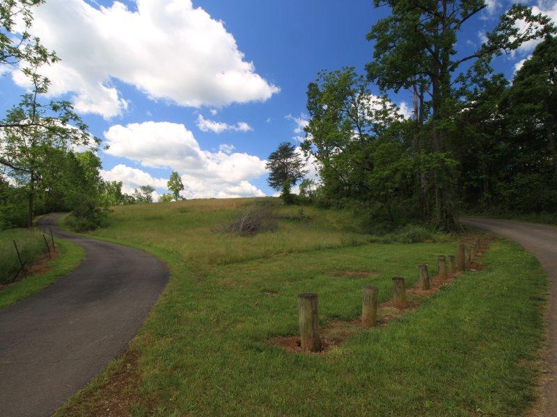 115 Everhart Road Tellico Plains, TN 37385 - Photo 12 of 37 IMG_1079