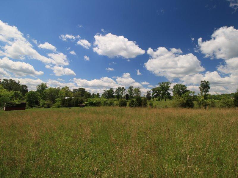 115 Everhart Road Tellico Plains, TN 37385 - Photo 13 of 37 IMG_1142