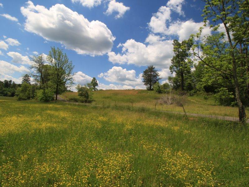 115 Everhart Road Tellico Plains, TN 37385 - Photo 14 of 37 IMG_1148