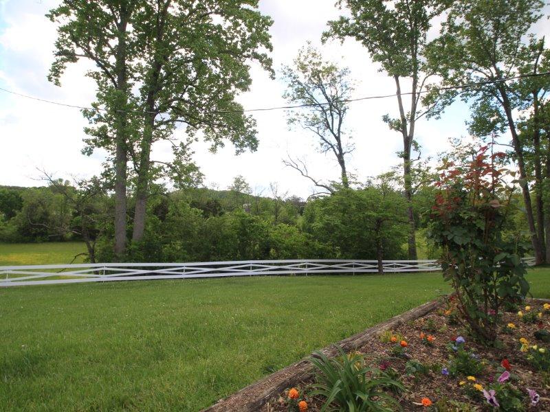 115 Everhart Road Tellico Plains, TN 37385 - Photo 6 of 37 IMG_1063