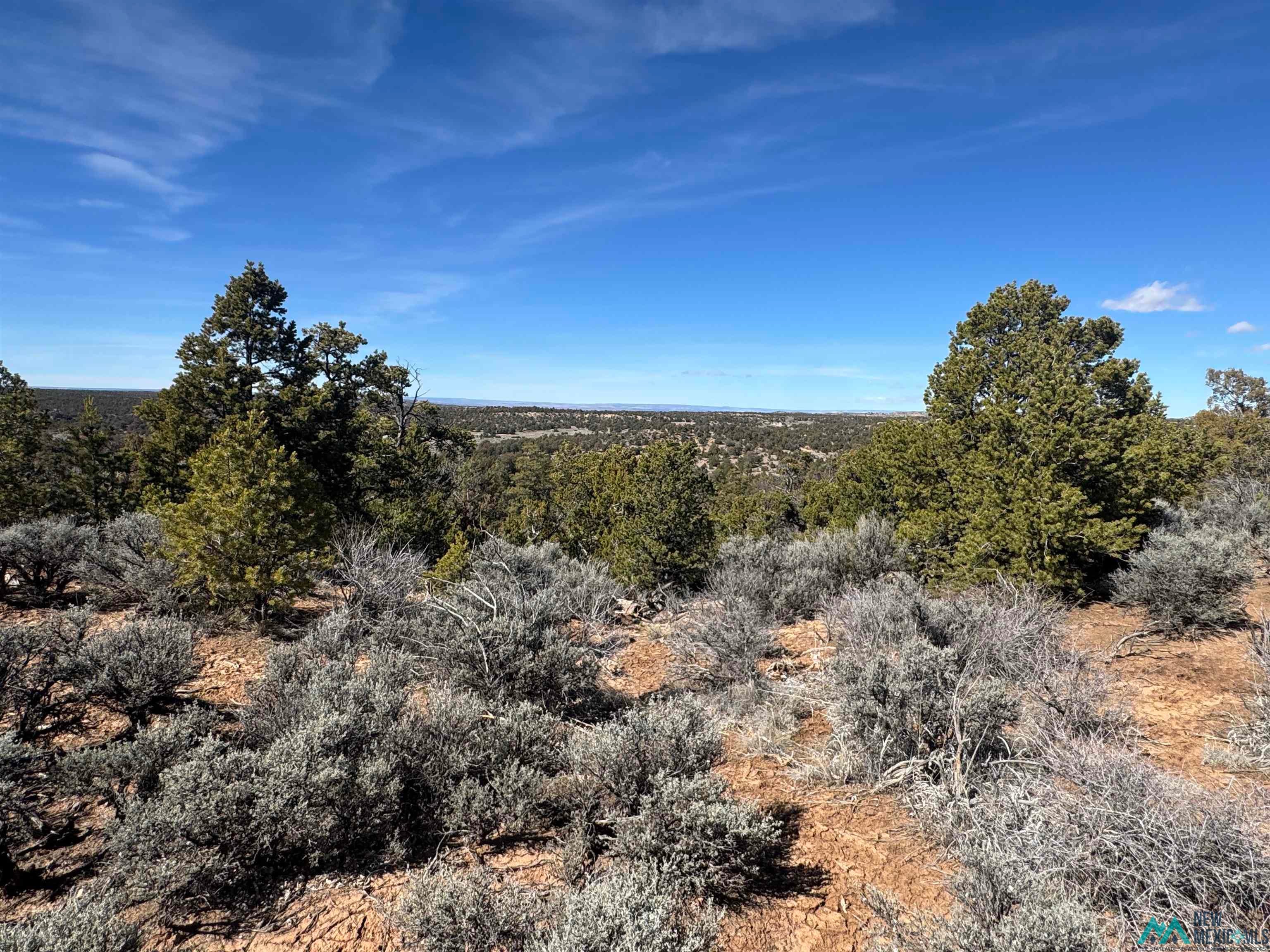 0 Panther Road Gallup, NM 87301 - Photo 13 of 19 View of undeveloped land
