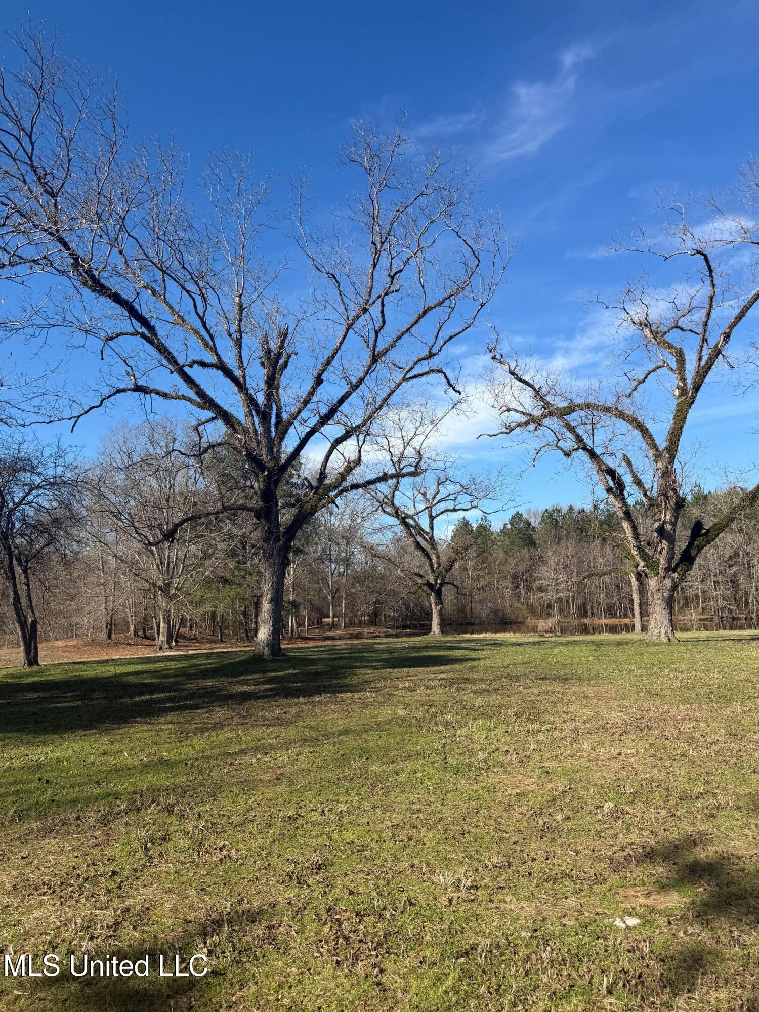 North Front Street Enterprise, MS 39330 - Photo 11 of 22 11 (1)