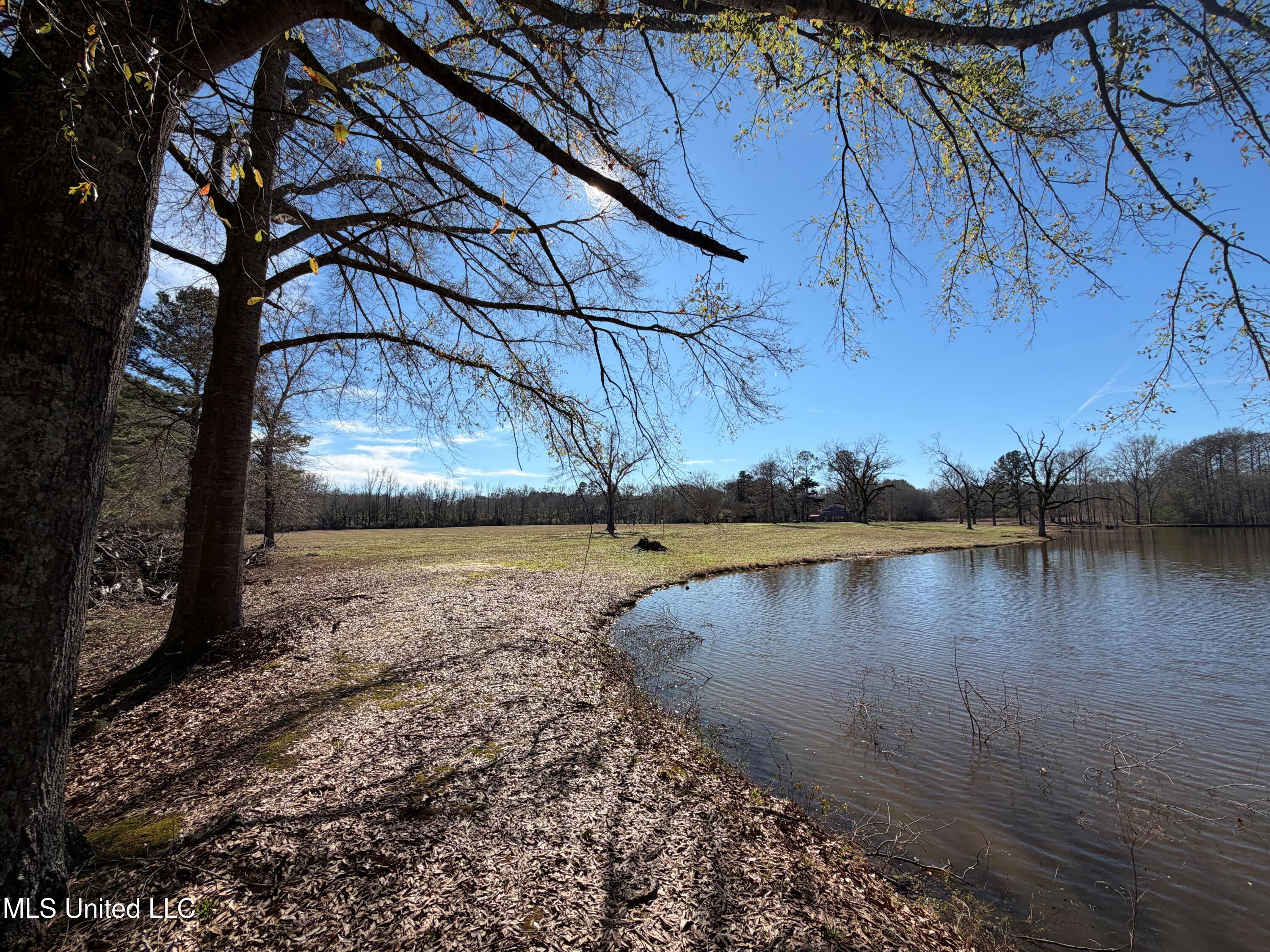 North Front Street Enterprise, MS 39330 - Photo 12 of 22 12 (1)